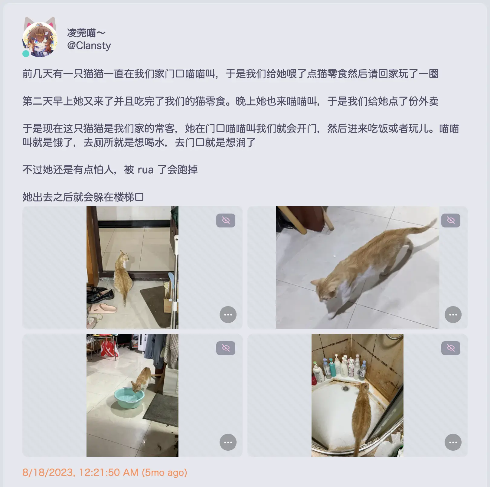 Misskey 上关于大猫的推文